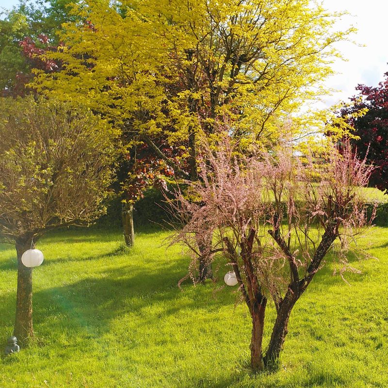 jardin-printemps-gite-lenidauxpapillons-charollais-bourgogne Jardin saison du printemps. Le gite le nid aux Papillons - Bourgogne