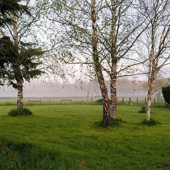 jardin le nid aux papillons location gite bourgogne