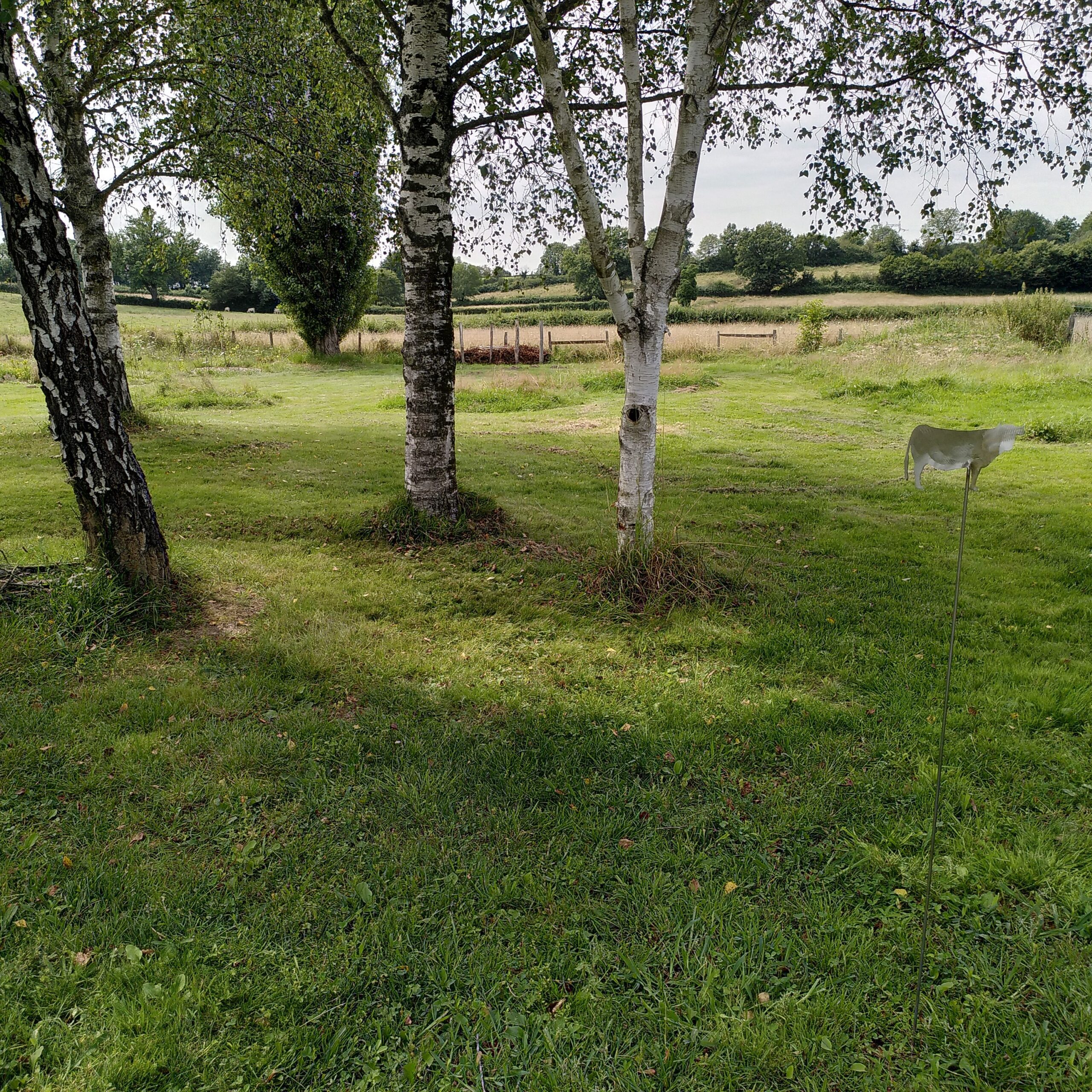 jardin-nature-bocage-campagne-ete-gite-lenidauxpapillons - Copie (2) jardin de ressourcement pour les journées créatives