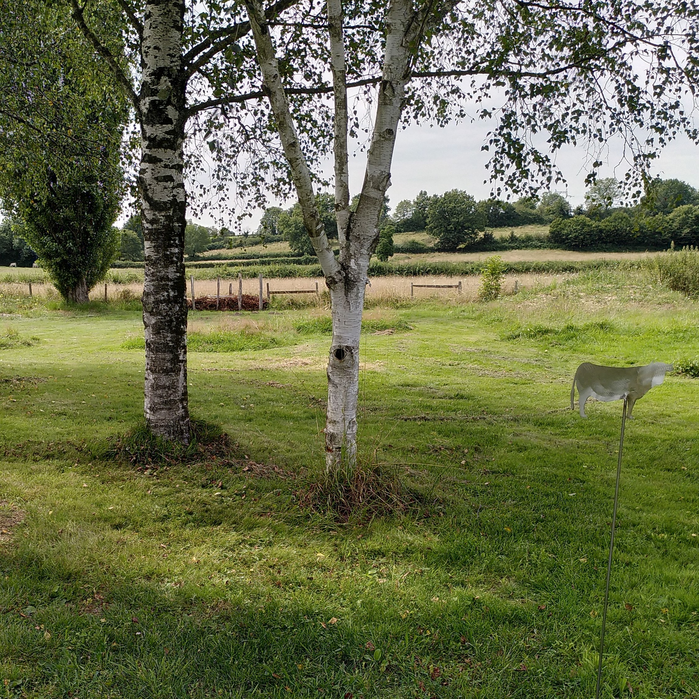 jardin-nature-bocage-ete-gite-lenidauxpapillons jardin avec vue sur le bocage